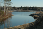 Crappie Habitat Spring